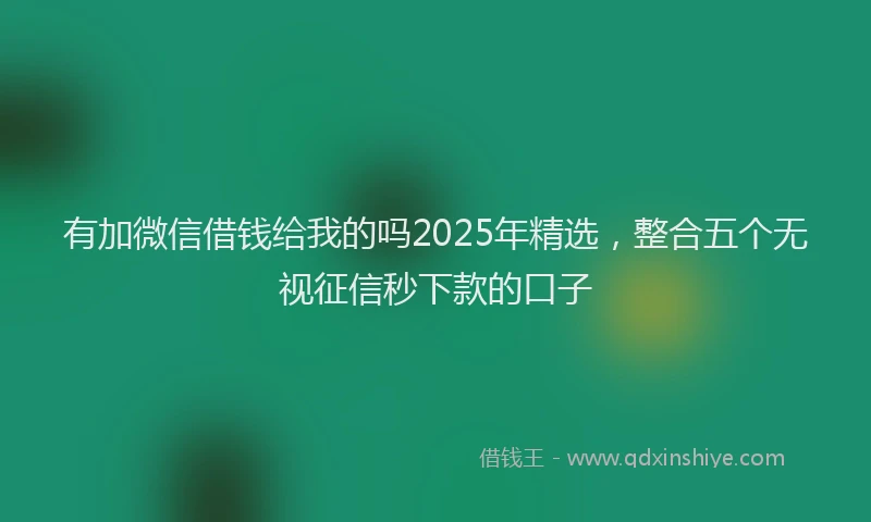 有加微信借钱给我的吗2025年精选，整合五个无视征信秒下款的口子