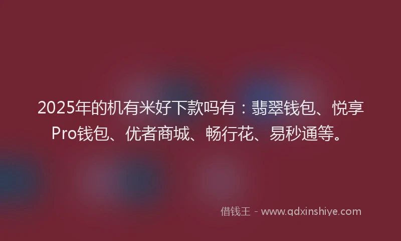 2025年的机有米好下款吗有：翡翠钱包、悦享Pro钱包、优者商城、畅行花、易秒通等。