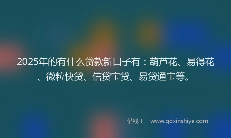 2025年的有什么贷款新口子有：葫芦花、易得花、微粒快贷、信贷宝贷、易贷通宝等。