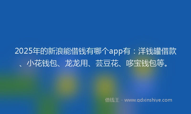 2025年的新浪能借钱有哪个app有：洋钱罐借款、小花钱包、龙龙用、芸豆花、哆宝钱包等。