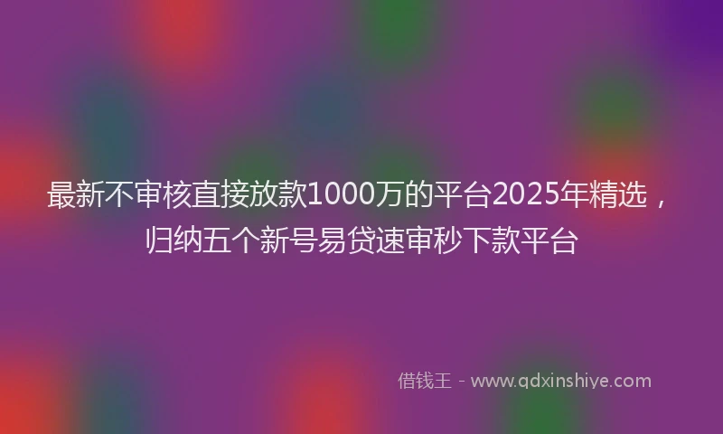 最新不审核直接放款1000万的平台2025年精选，归纳五个新号易贷速审秒下款平台