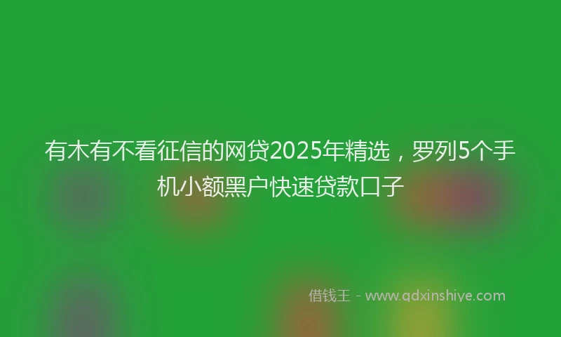 有木有不看征信的网贷2025年精选，罗列5个手机小额黑户快速贷款口子