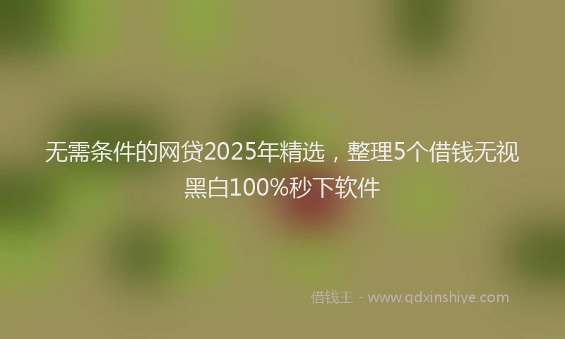 无需条件的网贷2025年精选，整理5个借钱无视黑白100%秒下软件