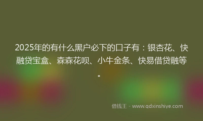 2025年的有什么黑户必下的口子有：银杏花、快融贷宝盒、森森花呗、小牛金条、快易借贷融等。