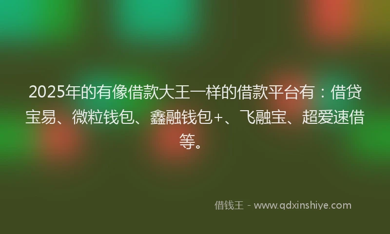 2025年的有像借款大王一样的借款平台有：借贷宝易、微粒钱包、鑫融钱包+、飞融宝、超爱速借等。