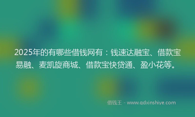 2025年的有哪些借钱网有：钱速达融宝、借款宝易融、麦凯旋商城、借款宝快贷通、盈小花等。