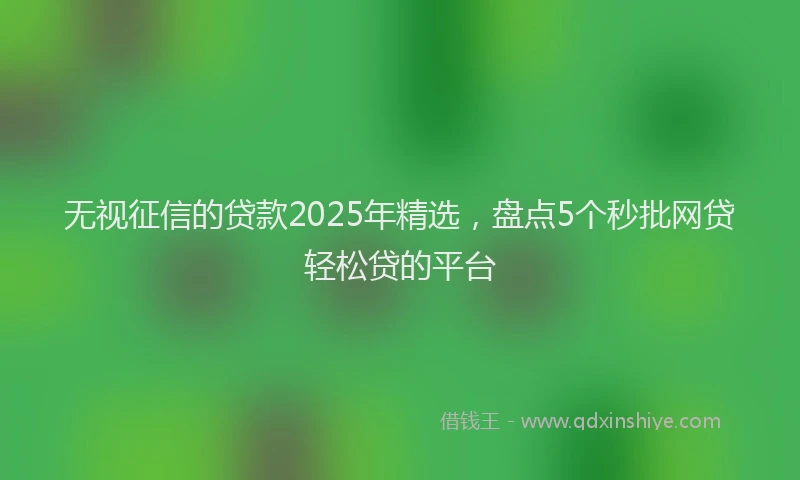 无视征信的贷款2025年精选，盘点5个秒批网贷轻松贷的平台