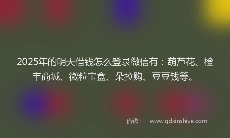 2025年的明天借钱怎么登录微信有：葫芦花、橙丰商城、微粒宝盒、朵拉购、豆豆钱等。