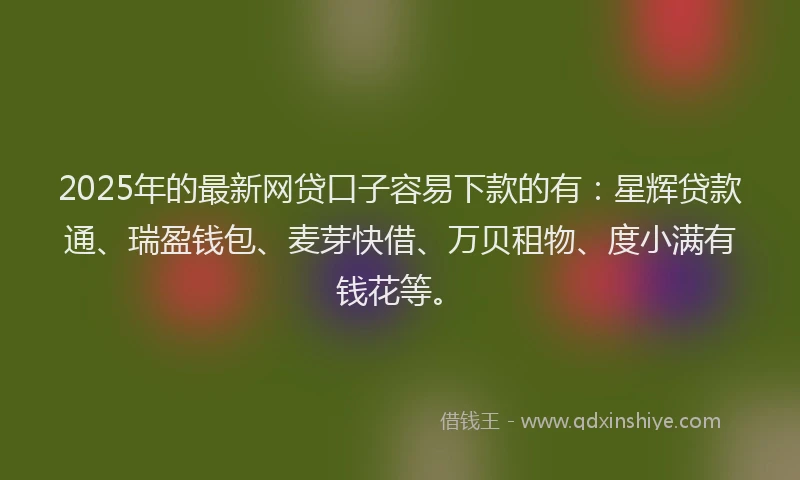 2025年的最新网贷口子容易下款的有：星辉贷款通、瑞盈钱包、麦芽快借、万贝租物、度小满有钱花等。