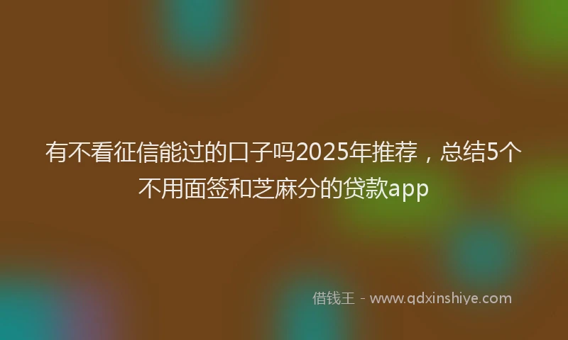 有不看征信能过的口子吗2025年推荐，总结5个不用面签和芝麻分的贷款app