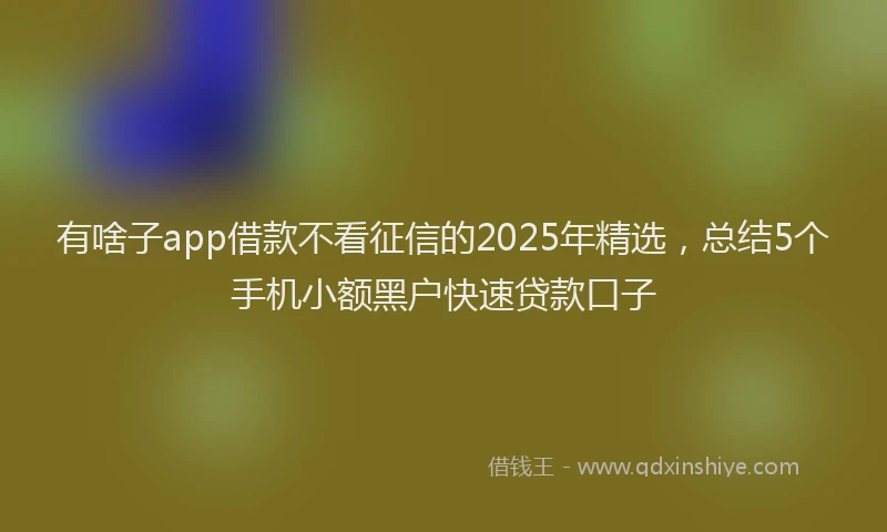 有啥子app借款不看征信的2025年精选，总结5个手机小额黑户快速贷款口子