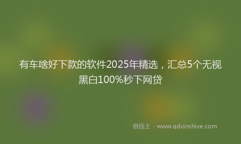 有车啥好下款的软件2025年精选，汇总5个无视黑白100%秒下网贷