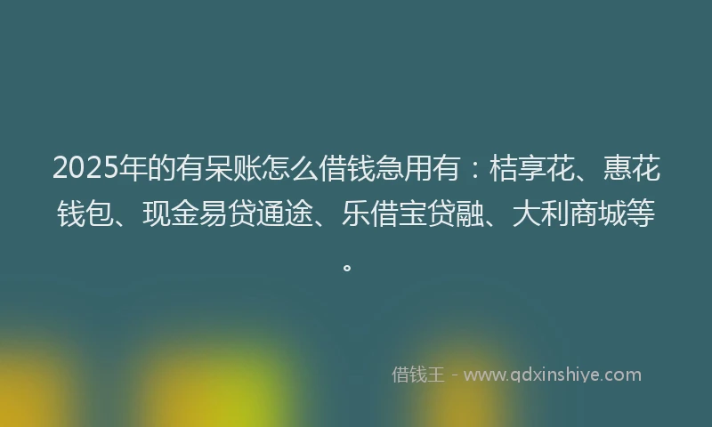 2025年的有呆账怎么借钱急用有:桔享花、惠花钱包、现金易贷通途、乐借宝贷融、大利商城等。