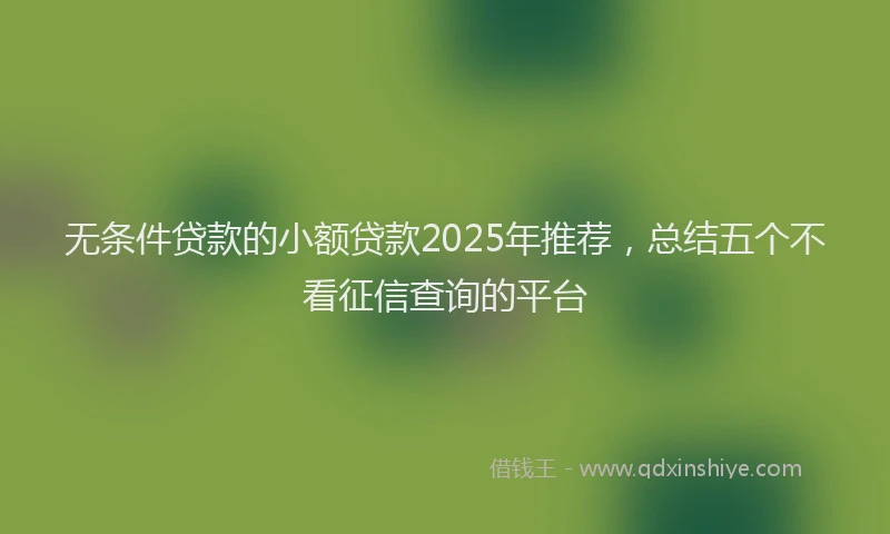 无条件贷款的小额贷款2025年推荐，总结五个不看征信查询的平台