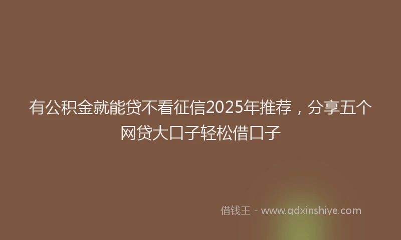 有公积金就能贷不看征信2025年推荐，分享五个网贷大口子轻松借口子