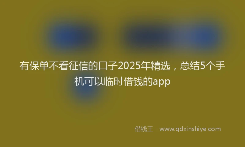 有保单不看征信的口子2025年精选，总结5个手机可以临时借钱的app