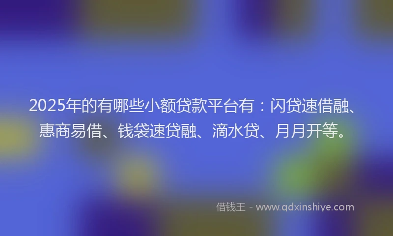2025年的有哪些小额贷款平台有：闪贷速借融、惠商易借、钱袋速贷融、滴水贷、月月开等。