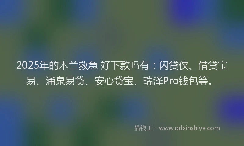 2025年的木兰救急 好下款吗有：闪贷侠、借贷宝易、涌泉易贷、安心贷宝、瑞泽Pro钱包等。