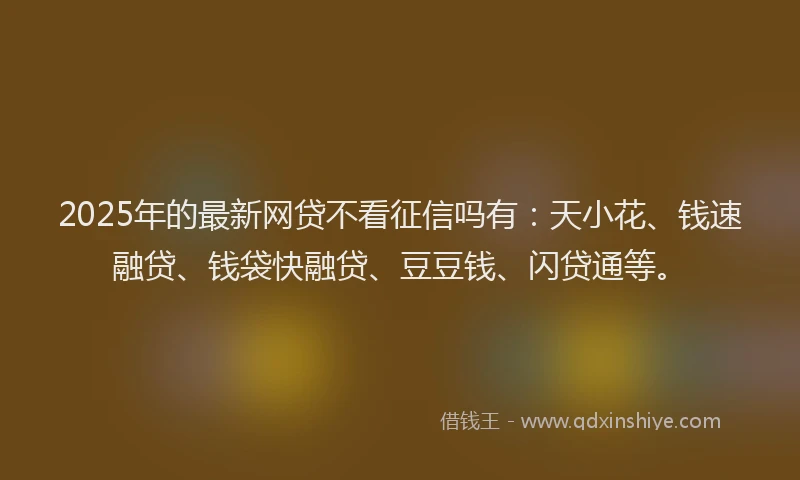 2025年的最新网贷不看征信吗有：天小花、钱速融贷、钱袋快融贷、豆豆钱、闪贷通等。