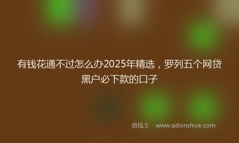 有钱花通不过怎么办2025年精选，罗列五个网贷黑户必下款的口子