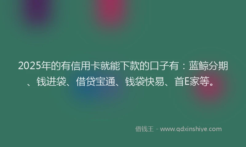 2025年的有信用卡就能下款的口子有：蓝鲸分期、钱进袋、借贷宝通、钱袋快易、首E家等。
