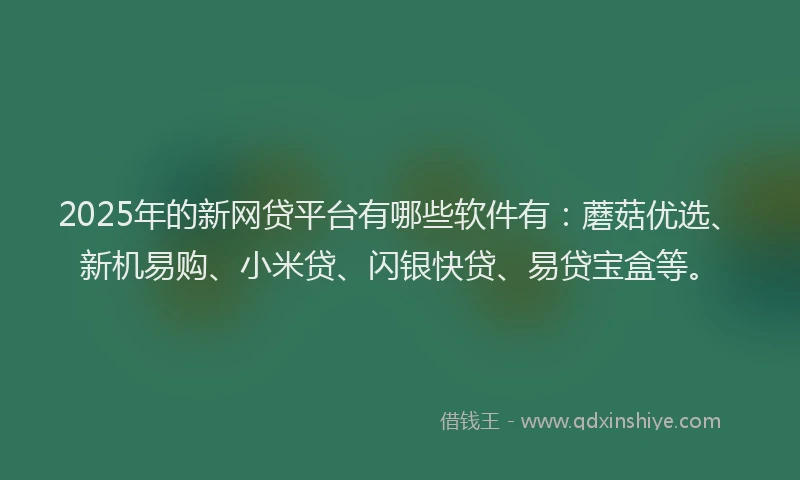 2025年的新网贷平台有哪些软件有：蘑菇优选、新机易购、小米贷、闪银快贷、易贷宝盒等。