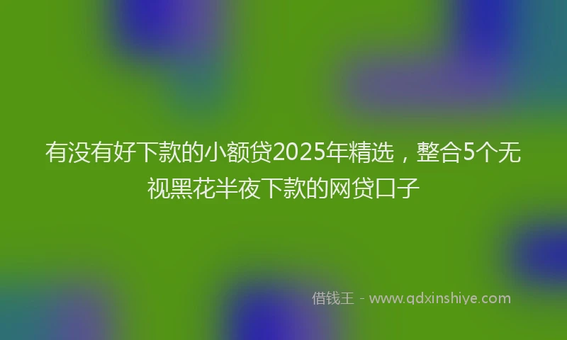 有没有好下款的小额贷2025年精选，整合5个无视黑花半夜下款的网贷口子