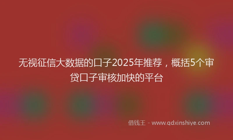 无视征信大数据的口子2025年推荐，概括5个审贷口子审核加快的平台