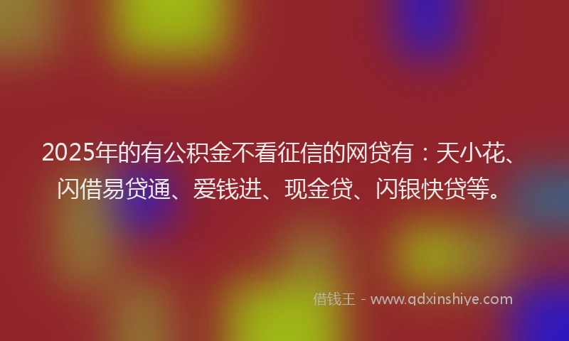 2025年的有公积金不看征信的网贷有：天小花、闪借易贷通、爱钱进、现金贷、闪银快贷等。