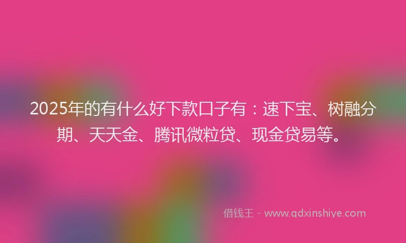 2025年的有什么好下款口子有：速下宝、树融分期、天天金、腾讯微粒贷、现金贷易等。