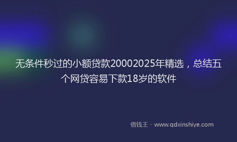 无条件秒过的小额贷款20002025年精选，总结五个网贷容易下款18岁的软件
