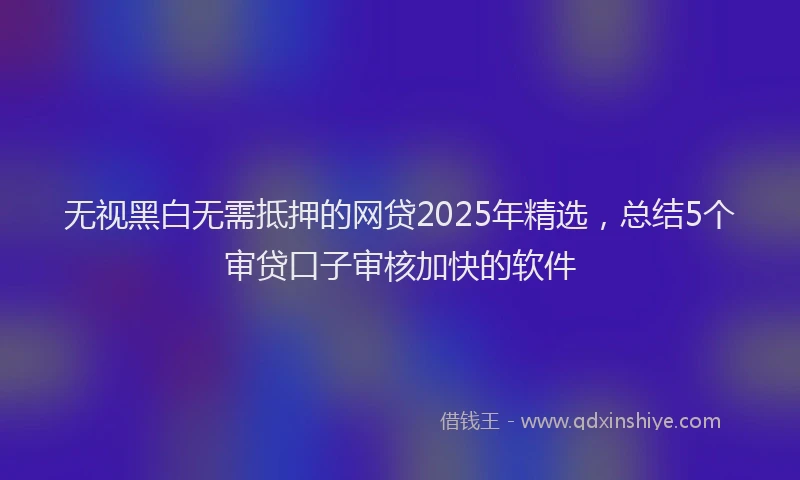无视黑白无需抵押的网贷2025年精选，总结5个审贷口子审核加快的软件