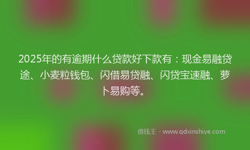 2025年的有逾期什么贷款好下款有：现金易融贷途、小麦粒钱包、闪借易贷融、闪贷宝速融、萝卜易购等。
