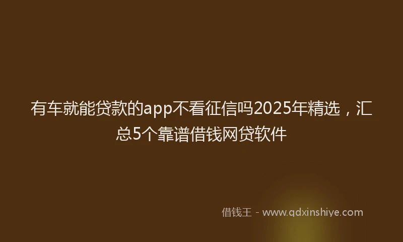 有车就能贷款的app不看征信吗2025年精选，汇总5个靠谱借钱网贷软件