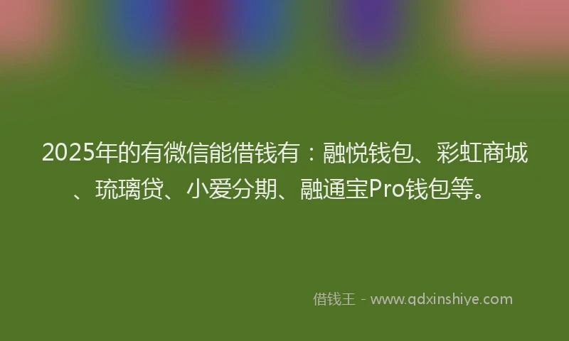 2025年的有微信能借钱有：融悦钱包、彩虹商城、琉璃贷、小爱分期、融通宝Pro钱包等。