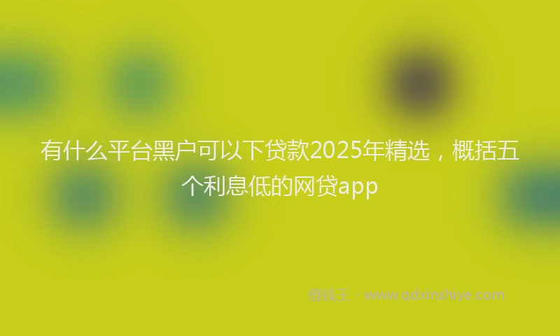 有什么平台黑户可以下贷款2025年精选，概括五个利息低的网贷app