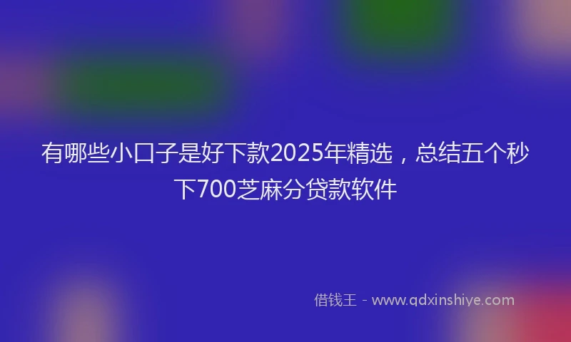 有哪些小口子是好下款2025年精选，总结五个秒下700芝麻分贷款软件
