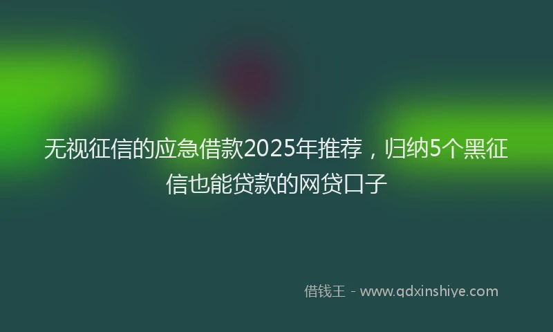 无视征信的应急借款2025年推荐，归纳5个黑征信也能贷款的网贷口子