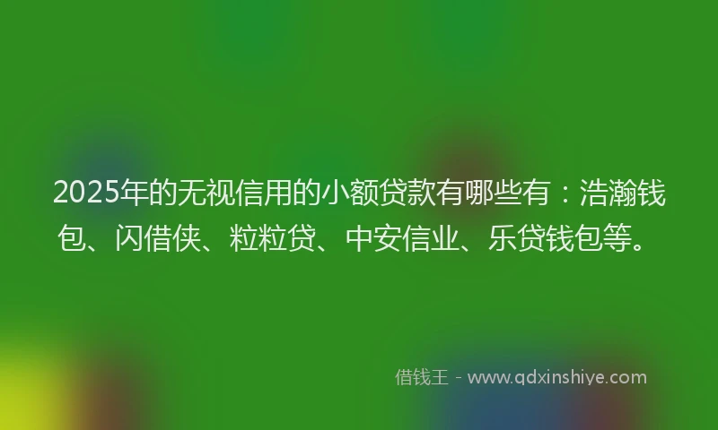 2025年的无视信用的小额贷款有哪些有：浩瀚钱包、闪借侠、粒粒贷、中安信业、乐贷钱包等。