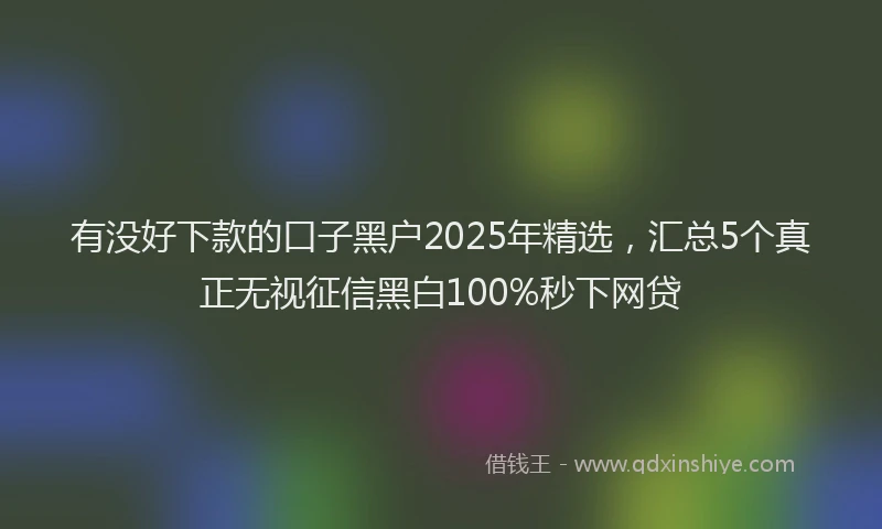 有没好下款的口子黑户2025年精选，汇总5个真正无视征信黑白100%秒下网贷