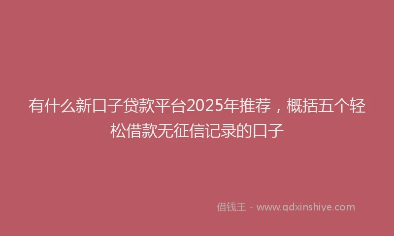 有什么新口子贷款平台2025年推荐，概括五个轻松借款无征信记录的口子