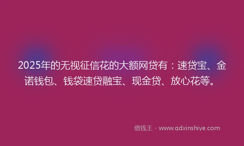 2025年的无视征信花的大额网贷有：速贷宝、金诺钱包、钱袋速贷融宝、现金贷、放心花等。
