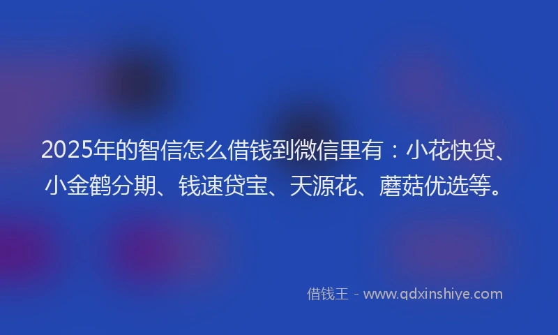 2025年的智信怎么借钱到微信里有：小花快贷、小金鹤分期、钱速贷宝、天源花、蘑菇优选等。