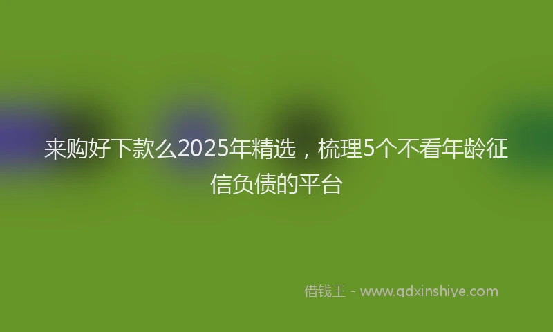 来购好下款么2025年精选，梳理5个不看年龄征信负债的平台