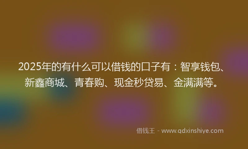 2025年的有什么可以借钱的口子有：智享钱包、新鑫商城、青春购、现金秒贷易、金满满等。