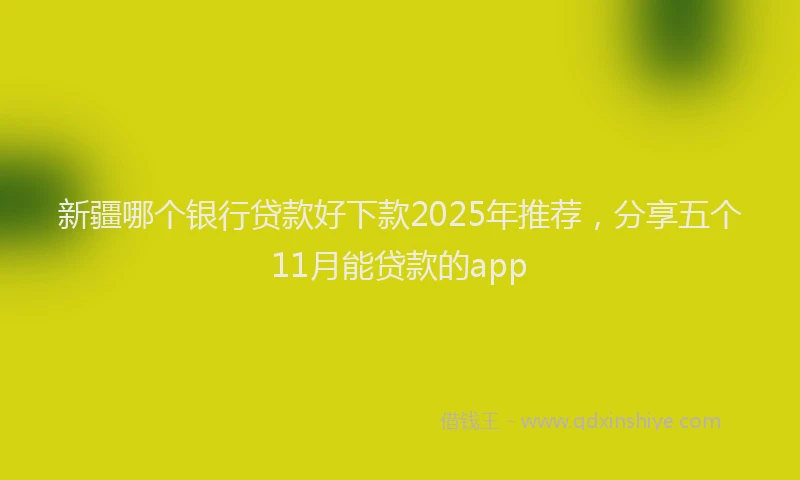 新疆哪个银行贷款好下款2025年推荐，分享五个11月能贷款的app