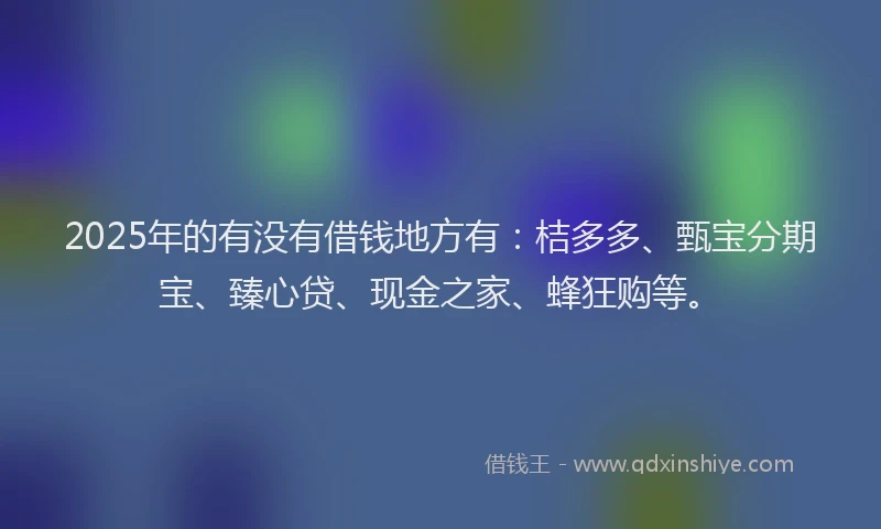2025年的有没有借钱地方有：桔多多、甄宝分期宝、臻心贷、现金之家、蜂狂购等。