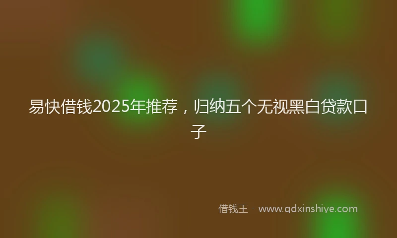 易快借钱2025年推荐，归纳五个无视黑白贷款口子
