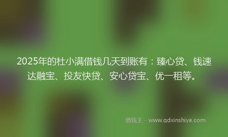2025年的杜小满借钱几天到账有：臻心贷、钱速达融宝、投友快贷、安心贷宝、优一租等。