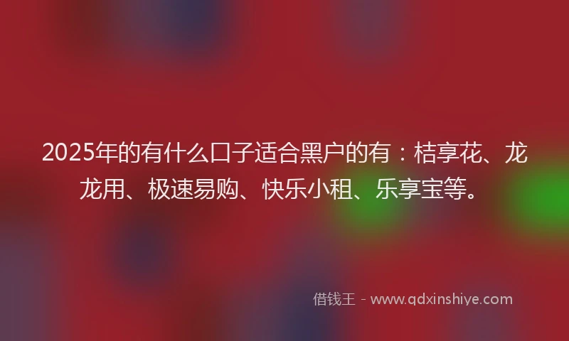 2025年的有什么口子适合黑户的有：桔享花、龙龙用、极速易购、快乐小租、乐享宝等。